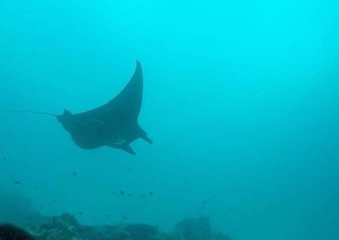 Erens Sauwandarek Guest House Pulau Mansuar Bagian luar foto